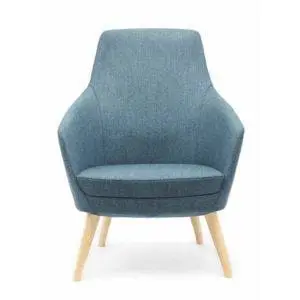 Annette Lounge Chair Soft Seating & Lounges