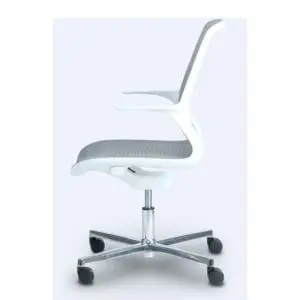 Ovidio Boardroom & Executive