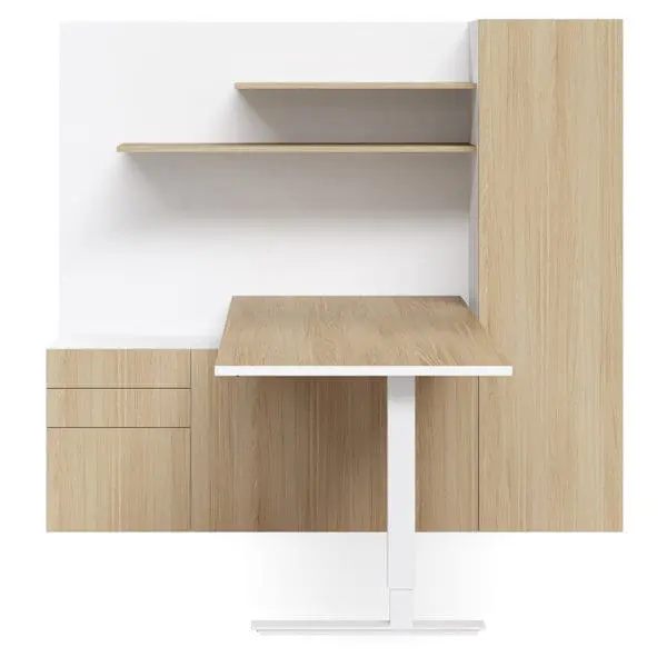 Selectric Home Executive Office Height Adjustable