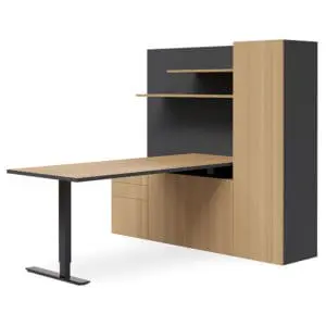 Selectric Home Executive Office Height Adjustable