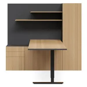 Selectric Home Executive Office Height Adjustable