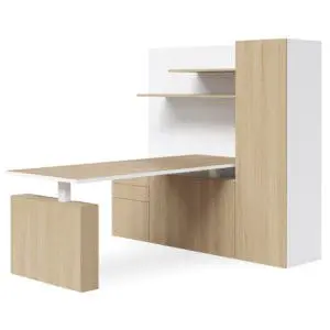 Selectric Home Executive Office Height Adjustable