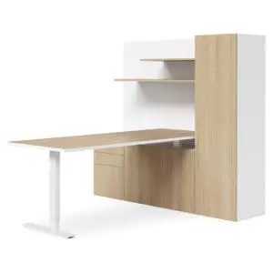 Selectric Home Executive Office Height Adjustable
