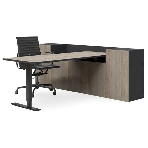 Selectric Executive Desk Height Adjustable