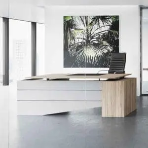 Selectric Executive Desk Height Adjustable