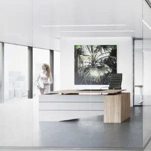 Selectric Executive Desk Height Adjustable