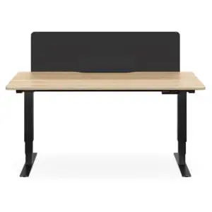 Selectric Desk Height Adjustable