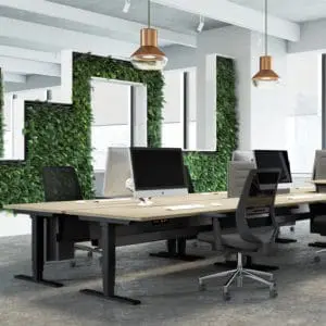Selectric Desk Height Adjustable