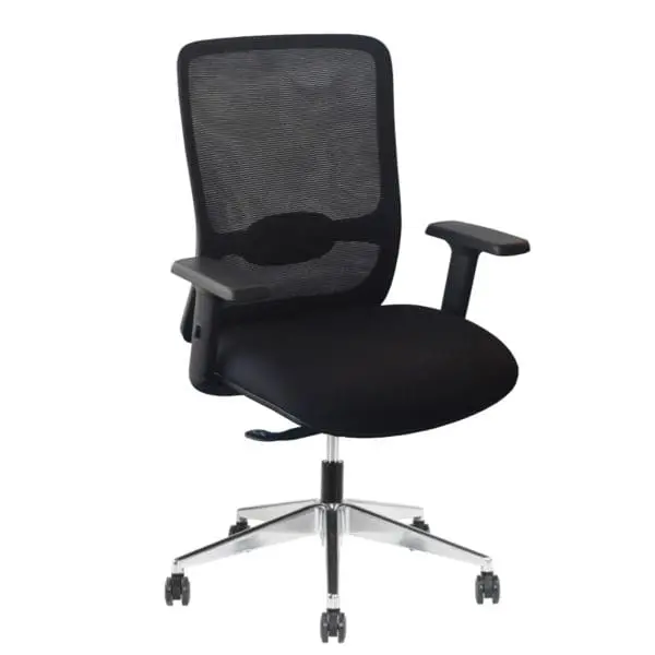 Banksia Executive Mesh Chair Seating