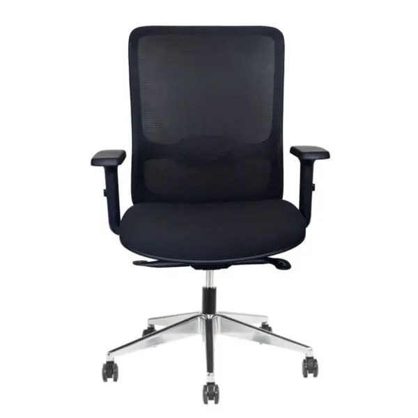 Banksia Executive Mesh Chair Seating