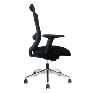 Banksia Executive Mesh Chair Seating