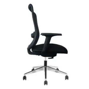 BANKSIA EXECUTIVE MESH CHAIR Boardroom & Executive