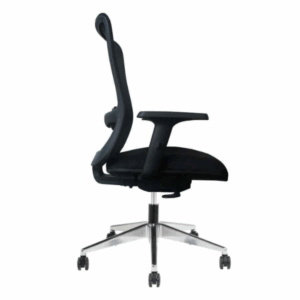 BANKSIA EXECUTIVE MESH CHAIR Boardroom & Executive
