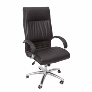 Boss Executive Chair Boardroom & Executive