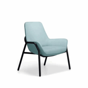 Aquila FORTE Bariatric Seating