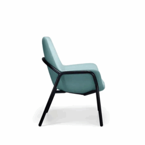Aquila FORTE Bariatric Seating
