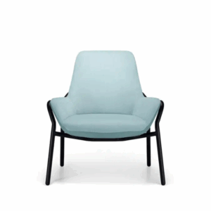 Aquila FORTE Bariatric Seating