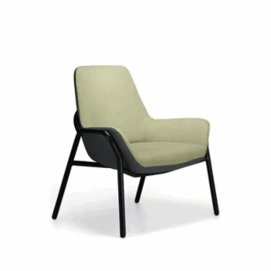 Aquila FORTE Bariatric Seating
