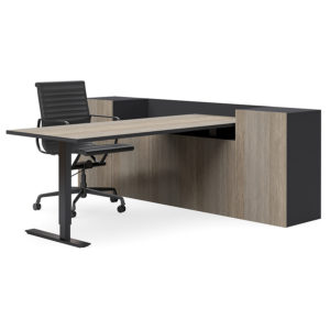 Selectric Executive Desk Height Adjustable