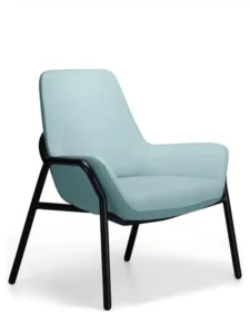 Aquila FORTE Bariatric Seating