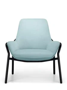 Aquila FORTE Bariatric Seating