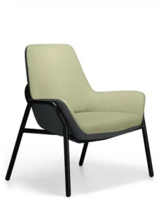 Aquila FORTE Bariatric Seating