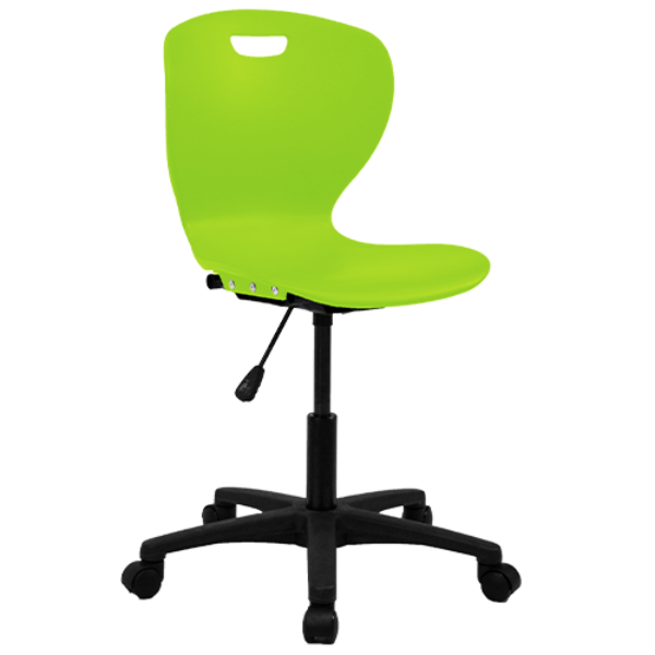 Zed Typist Education & Training